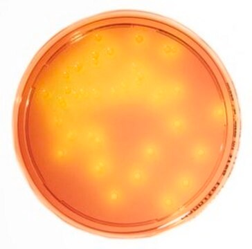 HEIMPLATE Mannit-Kochsalz-Agar Heimplate, plate diam. 90&#160;mm, ICR Settle plate for long incubation in non-sterile pharmaceuticals -, for Staphylococcus spp.