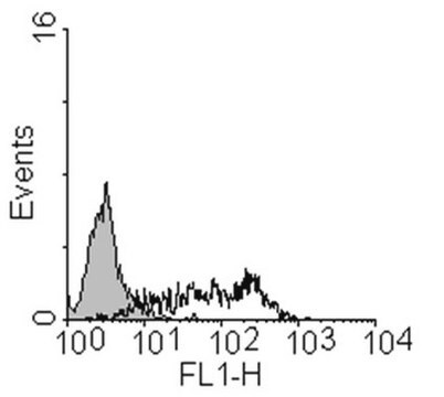 Anti-epitheliales-Zelladhäsionsmolekül(EpCAM)-Antikörper, Klon&nbsp;8 clone mab 8, from mouse