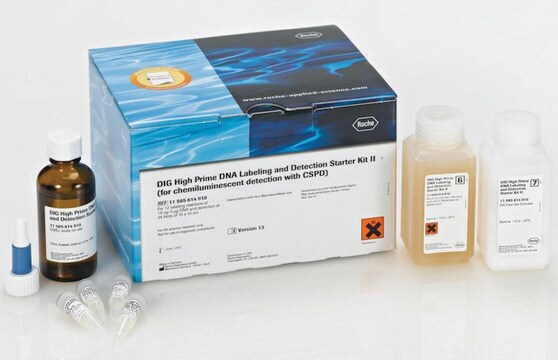 Kit iniciador de detección y marcaje de ADN DIG-High Prime sufficient for 12&#160;labeling reactions (10 ng to 3 &#956;g per assay), sufficient for 24&#160;blots (blots of 100 cm2)