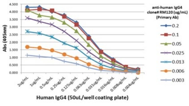 Kaninchen-Anti-Human&nbsp;IgG4-Antikörper, Klon RM120 clone RM120, from rabbit