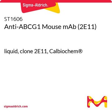 Anti-ABCG1 Mouse mAb (2E11) liquid, clone 2E11, Calbiochem&#174;