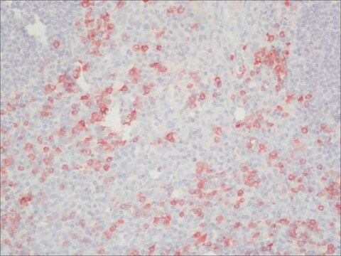 Anti-Human IgG (Fc specific)&#8722;Peroxidase antibody produced in goat affinity isolated antibody