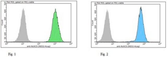 Anti-NLRC5 Antibody, clone 3H8 clone 3H8, from rat, purified by using protein G