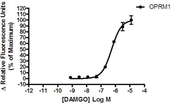 Ready-to-Assay Mu Opioid Receptor Frozen Cells Human Mu / OP3 / MOP / MOR GPCR frozen cells for Calcium Flux FLIPR Assays.