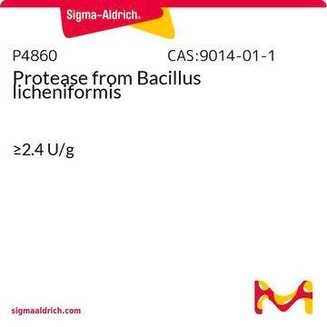 Protéase from Bacillus licheniformis &#8805;2.4&#160;U/g