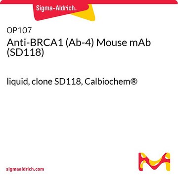 Anti-BRCA1 (Ab-4) Mouse mAb (SD118) liquid, clone SD118, Calbiochem&#174;