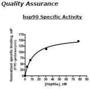 Hsp90a Active 人 recombinant, expressed in E. coli, &#8805;80% (SDS-PAGE)