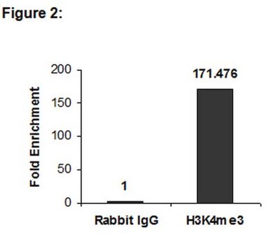 Anti-trimethyl-Histone H3 (Lys4) Antibody, clone 15-10C-E4, Trial Size clone 15-10C-E4, Upstate&#174;, from rabbit