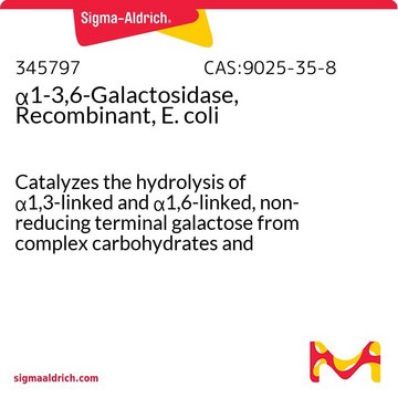 &#945;1-3,6-Galactosidase, rekombinant, E. coli Catalyzes the hydrolysis of &#945;1,3-linked and &#945;1,6-linked, non-reducing terminal galactose from complex carbohydrates and glycoproteins.