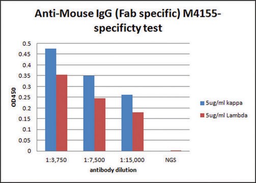 抗マウスIgG (Fab特異的) ヤギ宿主抗体 2.0&#160;mg/mL, affinity isolated antibody