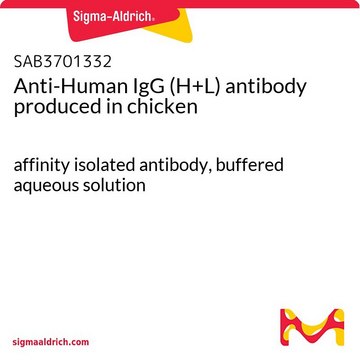 抗-人IgG（H + L） 鸡抗 affinity isolated antibody, buffered aqueous solution