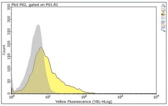 Anti-CD27 Antibody, clone RM27-3E5 clone RM27-3E5, from rat