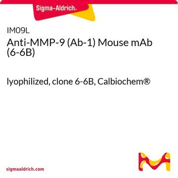 Anty-MMP-9 (Ab-1) mysie mAb (6-6B) lyophilized, clone 6-6B, Calbiochem&#174;