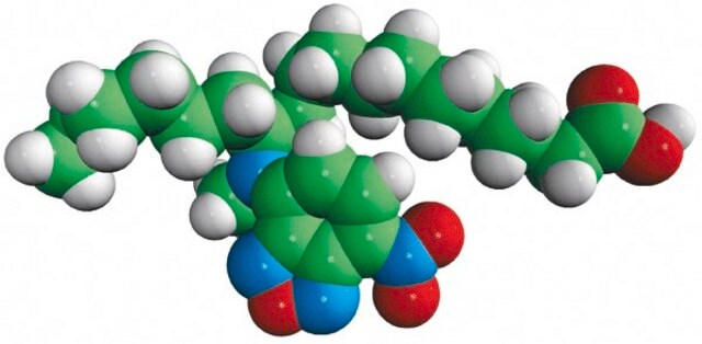 12-NBD Stearate Avanti Research&#8482; - A Croda Brand 810110P, powder