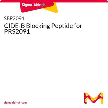 CIDE-B Blocking Peptide for PRS2091