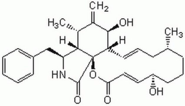 细胞松弛素B，来源于长蠕孢菌 Cell-permeable fungal toxin.