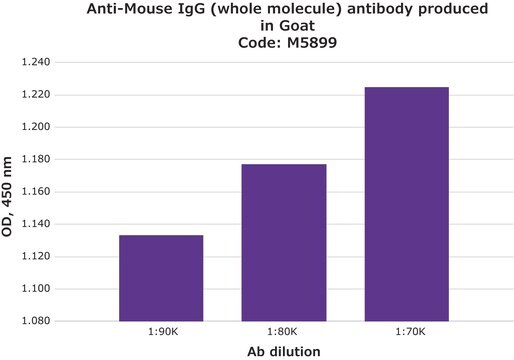 Anticorps anti-IgG de souris (molécule complète) antibody produced in goat whole antiserum