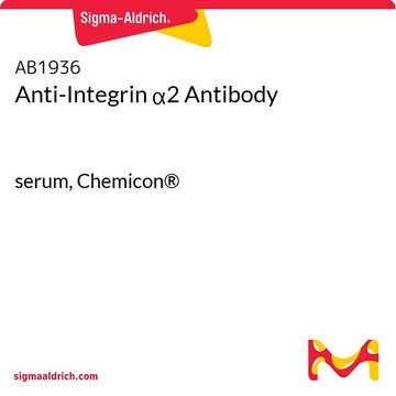 Anticorpo anti-integrina &#945;2 serum, Chemicon&#174;