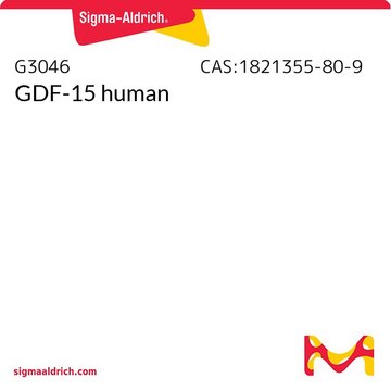 GDF-15 human