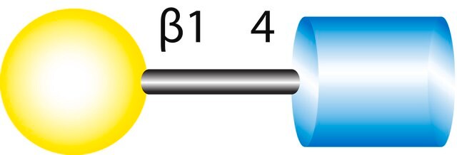 N-Acetyl-D-lactosamine &#8805;98% (TLC)