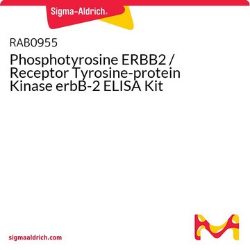 Phosphotyrosine ERBB2 / Receptor Tyrosine-protein Kinase erbB-2 ELISA Kit