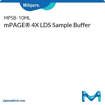 Tampón para muestras mPAGE&#174; 4X LDS