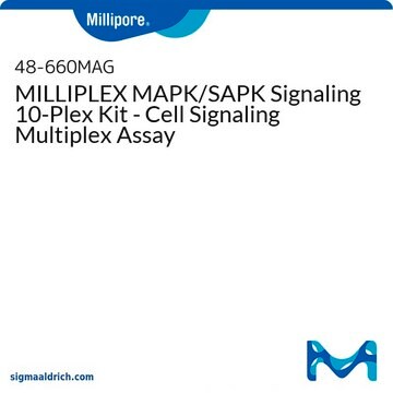 Kit de 10&nbsp;analitos para MAPK/SAPK MILLIPLEX - Ensaio multiplex de sinalização celular