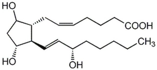 Prostaglandyna F 2α Major uterine luteolytic prostaglandin.