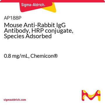 Mouse Anti-Rabbit IgG Antibody, HRP conjugate, Species Adsorbed 0.8&#160;mg/mL, Chemicon&#174;