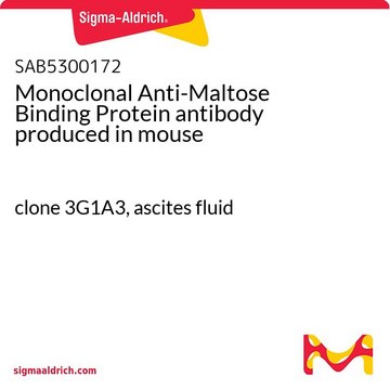 モノクローナル抗マルトース結合タンパク質抗体 マウス宿主抗体 clone 3G1A3, ascites fluid