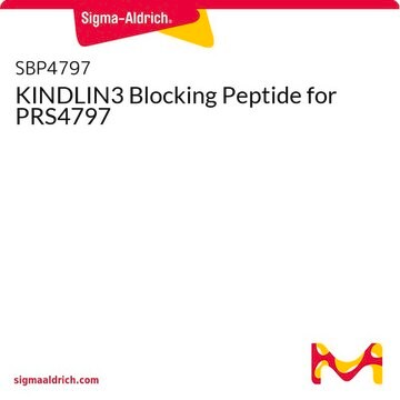 KINDLIN3 Blocking Peptide for PRS4797