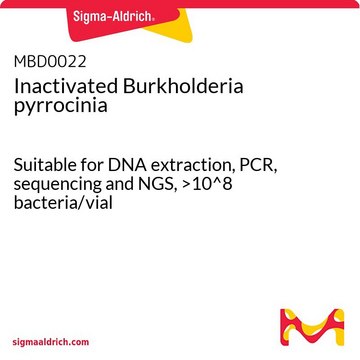 Inaktywowane bakterie Burkholderia pyrrocinia Suitable for DNA extraction, PCR, sequencing and NGS, &gt;10^8 bacteria/vial