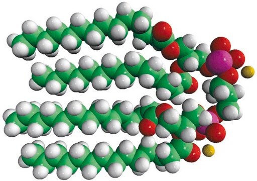 14:0 カルジオリピン(ナトリウム塩) 1&#8242;,3&#8242;-bis[1,2-dimyristoyl-sn-glycero-3-phospho]-glycerol (sodium salt), powder