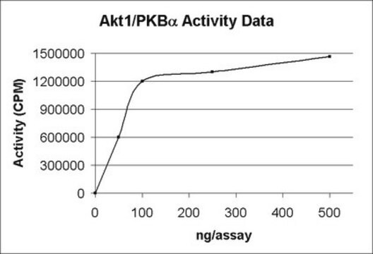 Białko Akt1/PKBα, aktywne, 15 µg Active, recombinant full-length human Akt1, containing N-terminal His6 tag, for use in IP-Kinase Assays &amp; Kinase Assays.