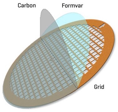 Formvar/Carbon Supported Copper Grids grid size 300&#160;mesh, box of 25