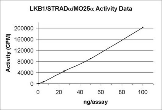 LKB1/STRAD&#945;/MO25&#945;-Protein, aktiv, 10&nbsp;&#181;g Active, recombinant full-length human LKB1 with an N-terminal 6His tag. Provided as a complex with GST-STRAD&#945; &amp; GST-MO25&#945;. For use in Kinase Assays.