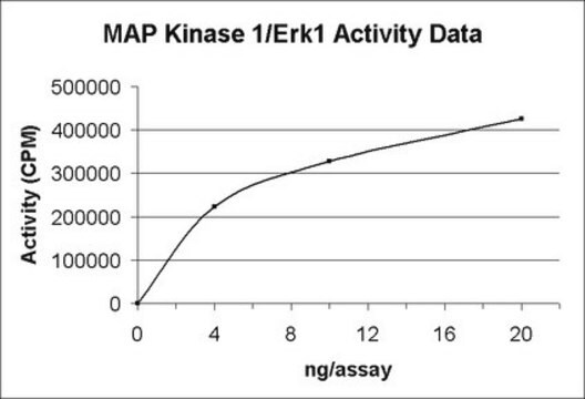 MAP Kinase 1/Erk1 Protein, active, 10 &#181;g Active, recombinant, full-length, human MAP Kinase 1/Erk1 containing an N-terminal GST tag, for use in Kinase Assays.