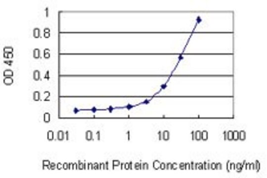 Monoclonal Anti-EZH2 antibody produced in mouse clone 1D11, purified immunoglobulin, buffered aqueous solution