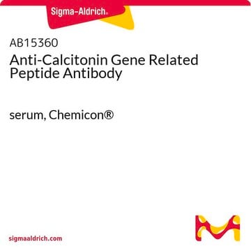 Anti-Calcitonin Gene Related Peptide Antibody serum, Chemicon&#174;