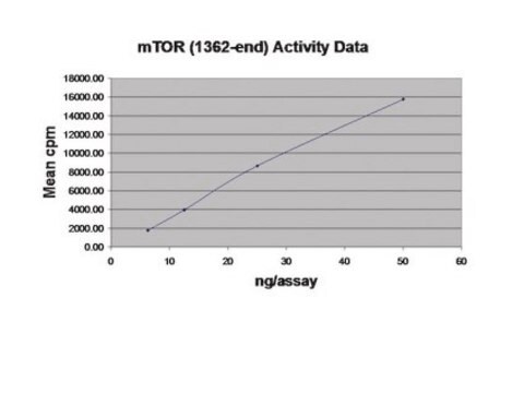 mTOR（1362端）蛋白，活性，10 &#181;g Active, N-terminal FLAG-tagged, recombinant, human mTOR, amino acids 1362-end, for use in Kinase Assays.