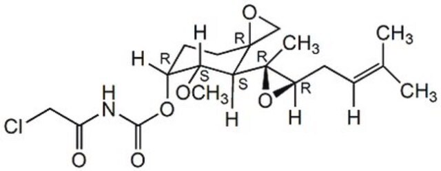 TNP-470 A cell-permeable Fumagillin analog that inhibits MetAP2, but not MetAP1, methionine aminopeptidase activity, without affecting the inhibitory activity of MetAP2 against HRI- catalyzed eIF-2&#945; phosphorylation.