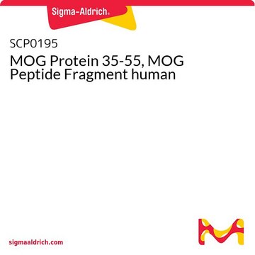 MOG 蛋白 35-55，人 MOG 肽片段