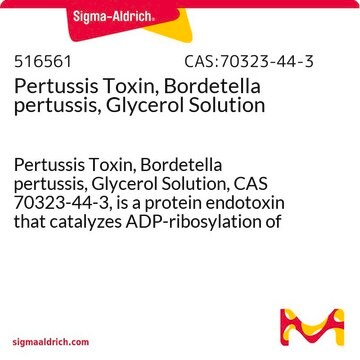 Pertussis-Toxin, Bordetella pertussis, Glycerinlösung Pertussis Toxin, Bordetella pertussis, Glycerol Solution, CAS 70323-44-3, is a protein endotoxin that catalyzes ADP-ribosylation of guanine nucleotide-binding regulatory proteins.