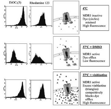 MDR1 Efflux Assay The Multidrug Resistance Direct Dye Efflux Assay Kit includes two of the best characterized &amp; most commonly used multidrug resistance ABC transporter substrates, DiOC2(3) &amp; rhodamine 123.