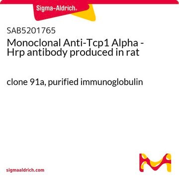 Monoclonal Anti-Tcp1 Alpha - Hrp antibody produced in rat clone 91a, purified immunoglobulin