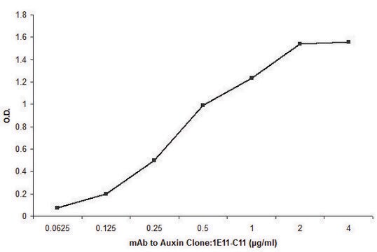 抗植物生长素抗体，小鼠单克隆 小鼠抗 clone 1E11-C11, purified from hybridoma cell culture