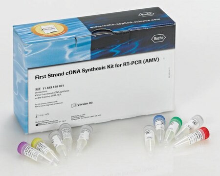 Kit de síntesis de la cadena primaria del ADNc para RT-PCR (AMV) sufficient for 30&#160;reactions (including 5 control reactions), kit of 1 (10 components), suitable for RT-PCR, hotstart: no, dNTPs included