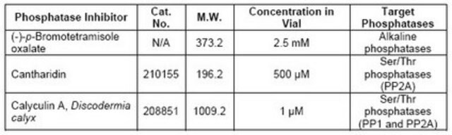 Phosphatase-Inhibitor-Cocktail Set&nbsp;IV Phosphatase inhibitor Cocktail Set IV is a cocktail of three phosphatase inhibitors for the inhibition of both serine/threonine and alkaline phosphatases.