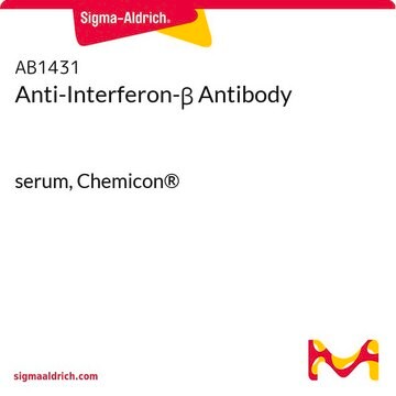 Anti-Interferon-&#946; Antibody serum, Chemicon&#174;