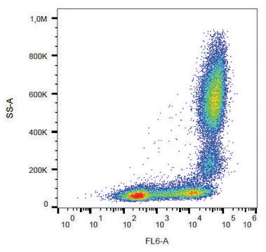 Monoclonal Anti-CD11b-APC antibody produced in mouse clone MEM-174